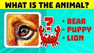 👁️🐶🐷🐸 GUESS WHICH ANIMAL IS BY THE EYES - Crazy Crab Quiz
