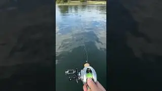 🔥SOLOKING ACURA PRO CAST 0.5g SLOWMO!!! #bfsfishing #baitfinessesystem #crappiefishing #tsurinoya