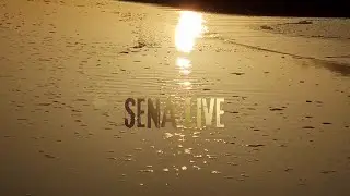 Welcome to SENA