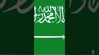 Saudi National Day 2023  Capturing Moments of National Pride #NationalDay #ProudSaudi #ytfeed
