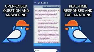 Bluebird AI demo
