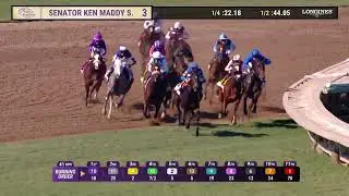 Wet My Beak wins the Senator Ken Maddy Stakes on Friday, November 3 at Santa Anita Park