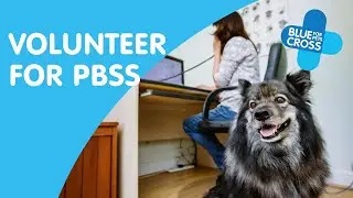 Volunteer For Our Pet Bereavement Support Service (PBSS)