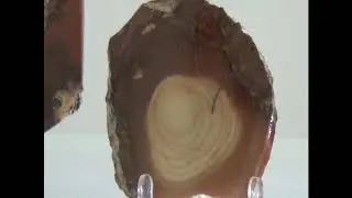 One of My Favorite Lapidary Gemstones: Bruneau Jasper