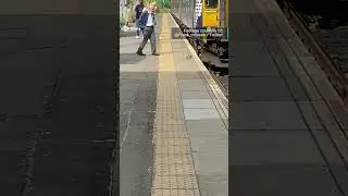 Watch careful driver slow train to reunite mother duck with ducklings
