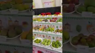 mango festival Lucknow #malihabad #mango #festival
