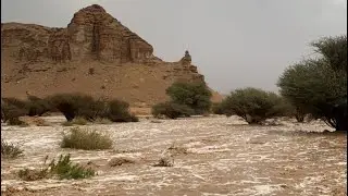 تغطية سيول نعام وسد الحريق وحوطة بني تميم١٤٤٥/٩/٢٢- ٢٠٢٤/٤/١