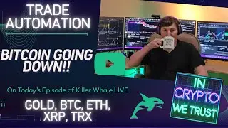 Day 5 Streaming Our Profitable Trading Algorithms!! Bitcoin Going Down Today!!