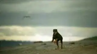 Phantom camera