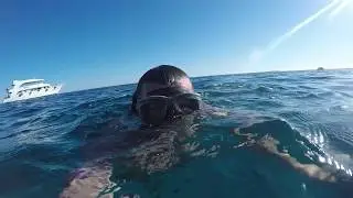 Snorkeling Hadaba Beach - Sharm El Sheikh