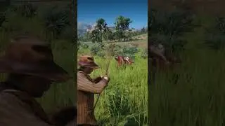 Навыки выживания в Red Dead Redemption 2 P1215 #rdr2 #советыповыживанию #игровыешорты #игры #шорты
