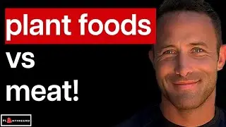 🔴 Comparing The Carnivore Diet With The Vegan Diet