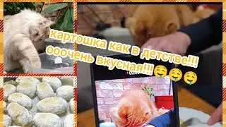 Вкуснейшая картошка + рулька. Рецепт. Готовим в духовке.