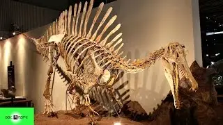 Top 10 Dinosaurios Carn&iacute;voros M&aacute;s Grandes Y Aterradores