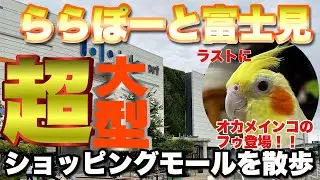 【散歩】ららぽーと富士見を散歩してみた。