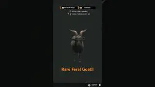 Rare Feral Goat!!!! The Hunter Call Of The Wild