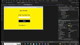 age calculator using c# | winforms dotnet| visual studio