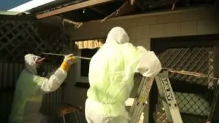 asbestos removal - Thebarton S.A. Specialized Services Pty Ltd
