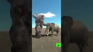 king kong vs animals fight #animalcombat #cartoonanimal #gaming #cartooncharacter #animalbattle