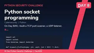 Python Socket Programming for Security - Day 8/90 Python Security Challenge