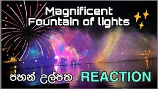 Fountain of Lights Laguna Reaction (ZiSy Stories) #lightupnuvali #nuvaliph