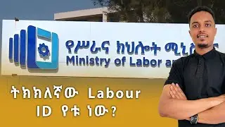 🛑 የሥራ እና ክህሎት ሚንስትር - የሰራተኛ መለኛ (Labour ID )የቱ ነው-E-LMIS
