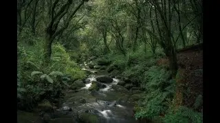 Calm and Relax: Music for Meditation, Sleep and Yoga. Vol.11
