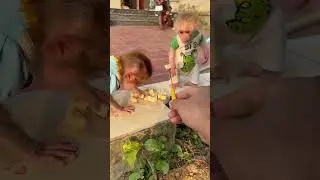 Vali and bibi eat banana❤️