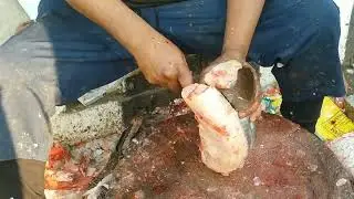 Amazing Aari 🐟 fish cutting skill video.... relaxing cutting sound.....