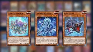 6 New WATER Support [Yu-Gi-Oh - Master Duel]