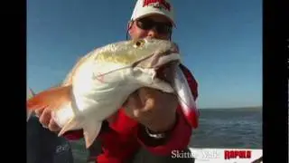 Rapala&reg; Skitter Walk&reg;