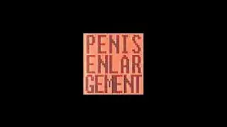 PENIS ENLARGEMENT / Tracks from Deche-Charge split tape (2008)