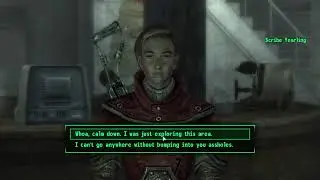 Blind Playthrough Fallout 3