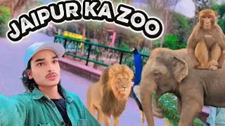 Jaipur ka zoo🦁जयपुर का चिड़ियाघर