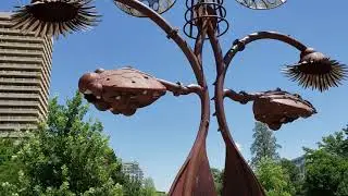 Reno Nevada 2019(3)