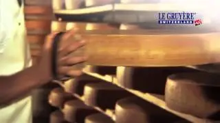 Le Gruy&egrave;re AOC no wholes just taste