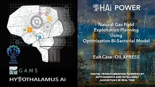 HAI-POWER: Natural Gas Field Exploitation Planning Using  Optimization Bi-Sectorial Model