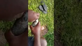 lake #fishing 🐠🐠 | puzhal dam fish out fishing 🐟 fibre door fishing