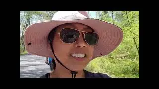 Davidson River Campground in North Carolina