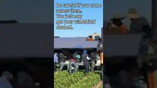Illegal Jobs #Shorts