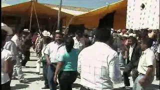 LOS BERRENDITOS-HUAPANGO