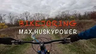 Bikejoring Fun with huskies in Autumn