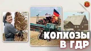 Коллективизация в ГДР: почему в “витрине социализма” было иначе, чем в СССР