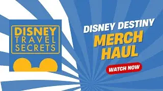Disney Destiny MERCH HAUL