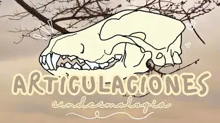 Articulaciones fibrosas, cartilaginosas y sinoviales - Sindesmolog&iacute;a / Artrolog&iacute;a