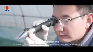 DXN China 2025 corporate