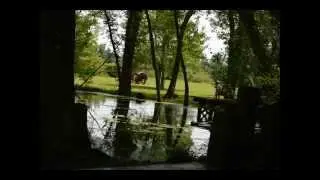 Oakwood Escape Luxury Camping Dunnville Ontario Canada