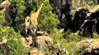 dinosaur rave party