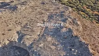 Muddy River &ndash; Habitat