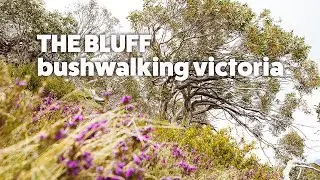The Bluff Hut Track - Bushwalking Victoria